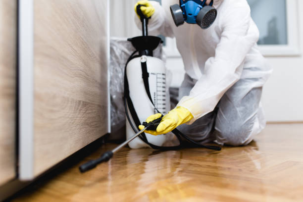 Pest Prevention Services in Catalina, AZ