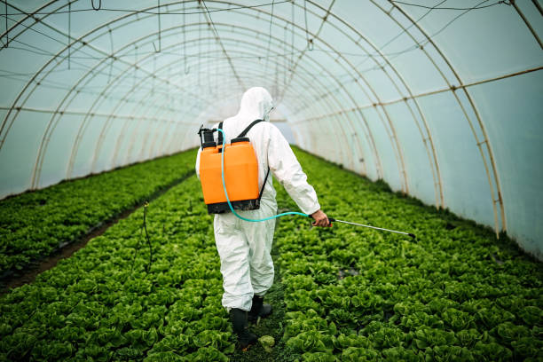 Best Affordable Pest Control Services  in Catalina, AZ
